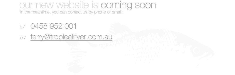 our new website is coming soon, in the meantime, you can contact us by phone or email: 0458 952 001 / terry@tropicalriver.com.au